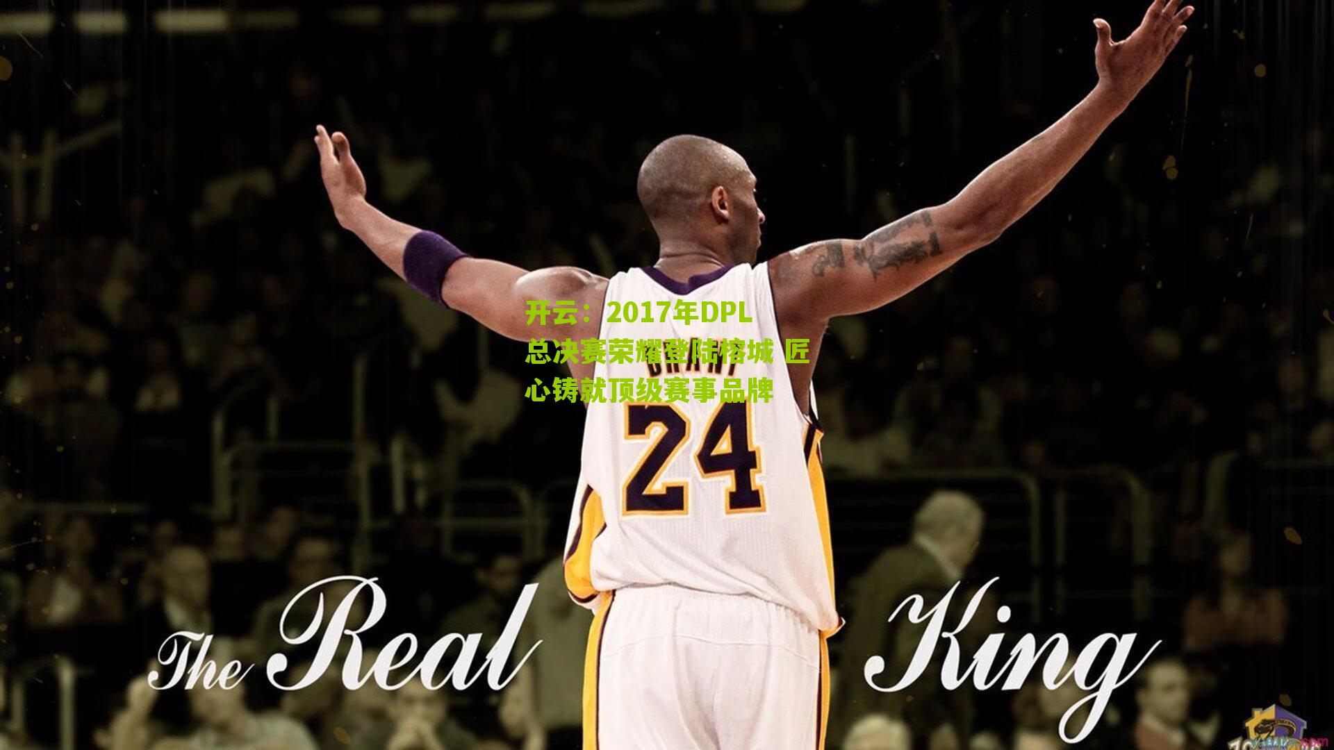 2017年DPL总决赛荣耀登陆榕城 匠心铸就顶级赛事品牌